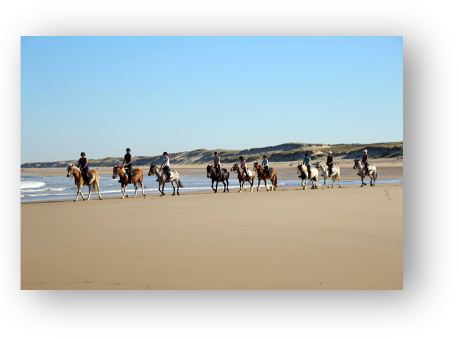 balade plage cheval